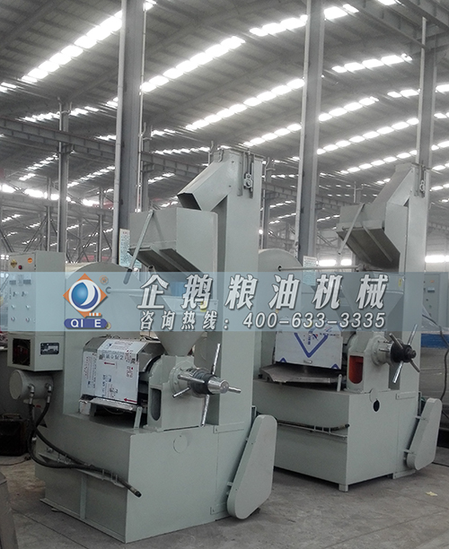 榨油机全套设备